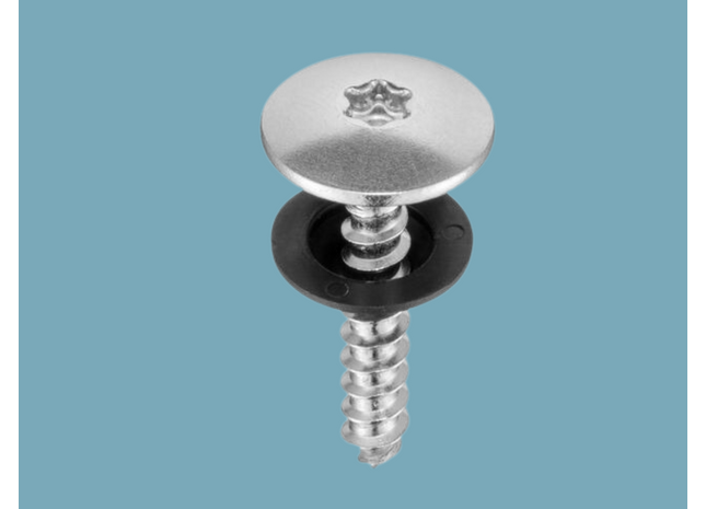 Fassadenschrauben-Set blank