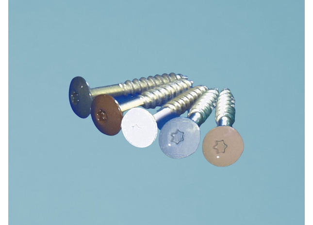 Montageschrauben mit Torx-Aufnahme T20